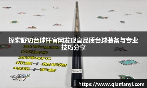 探索野豹台球杆官网发现高品质台球装备与专业技巧分享
