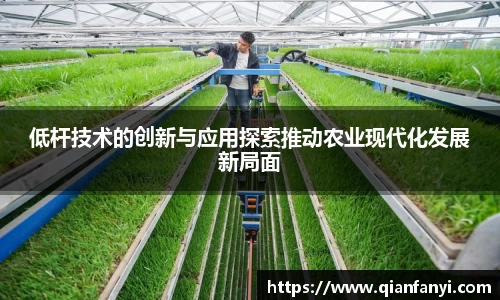 球速体育官方网站